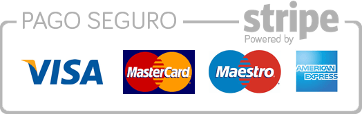 Hacer pago 12 PAGO SEGURO STRIPE